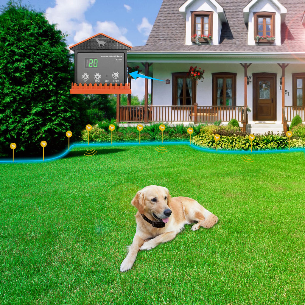 Above ground 2024 wireless dog fence