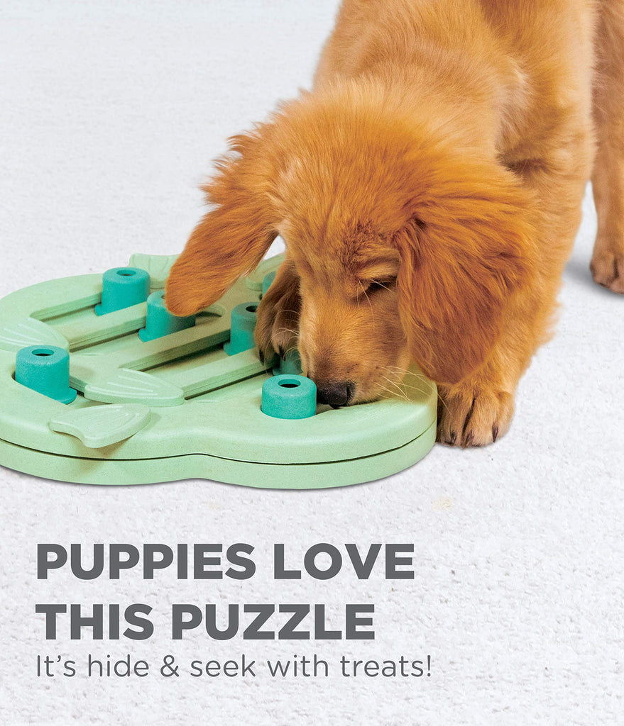 Dog Worker Interactive Treat Puzzle Dog Toy, Green