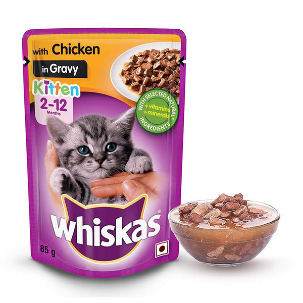 Cat food for 2025 2 month old kitten