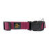 GEARBUFF Classic Collar for Dogs , Purple